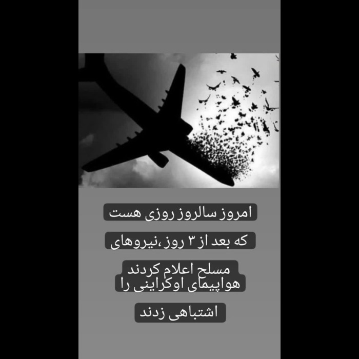 هواپیما اوکراینی