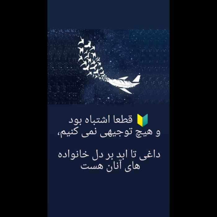 هواپیما اوکراینی