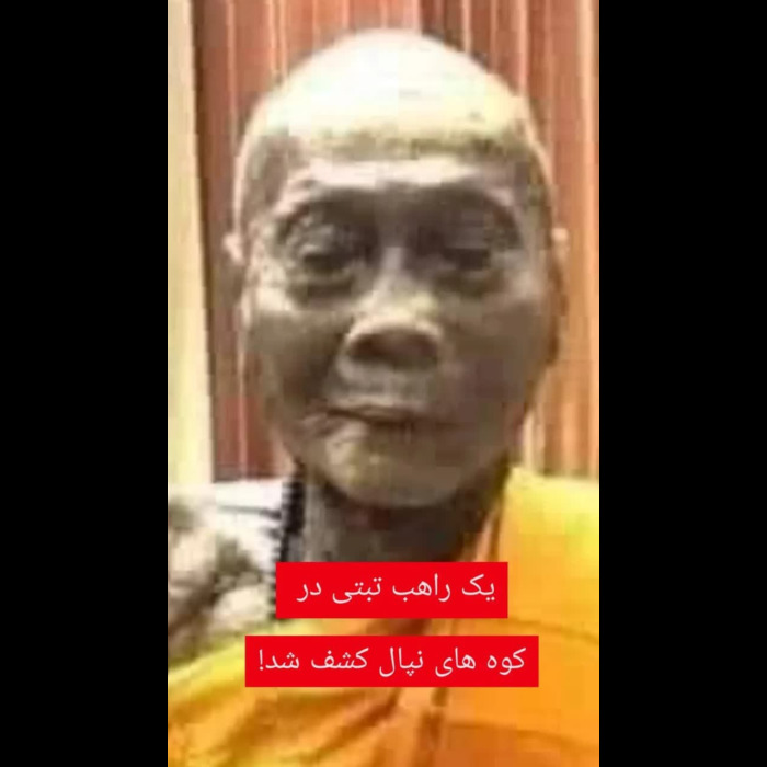 ?خبر مهم?